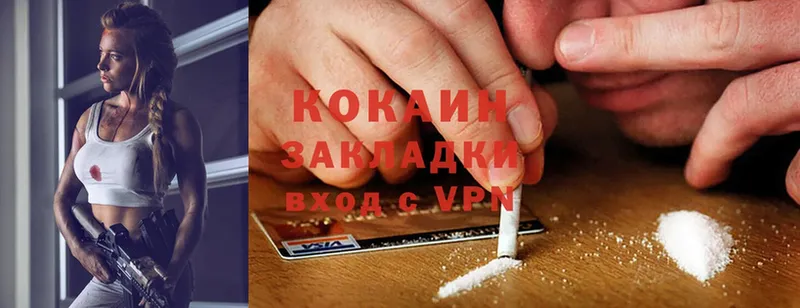 Cocaine FishScale  Дмитров 